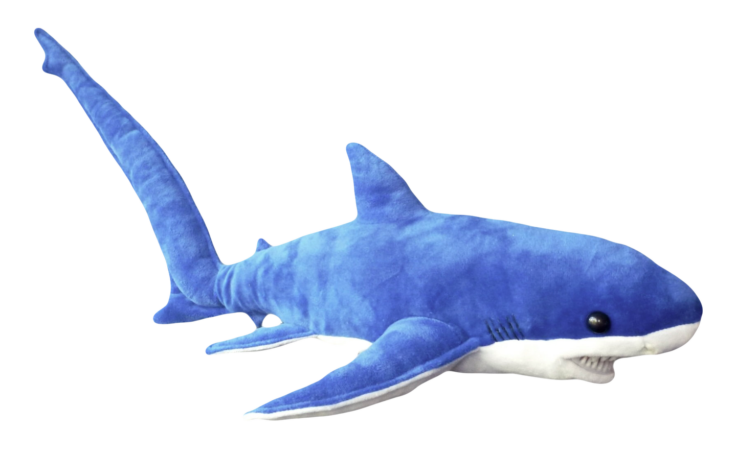 an image of a thresher shark plushie